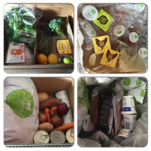 hellofreshcollage